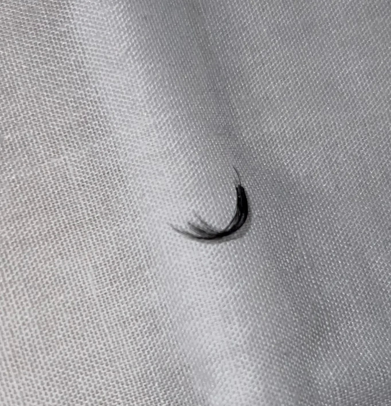 A single lash cluster detail