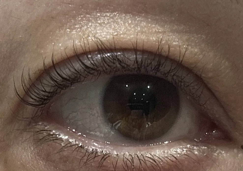 Lifted, tinted lashes — finished lash work