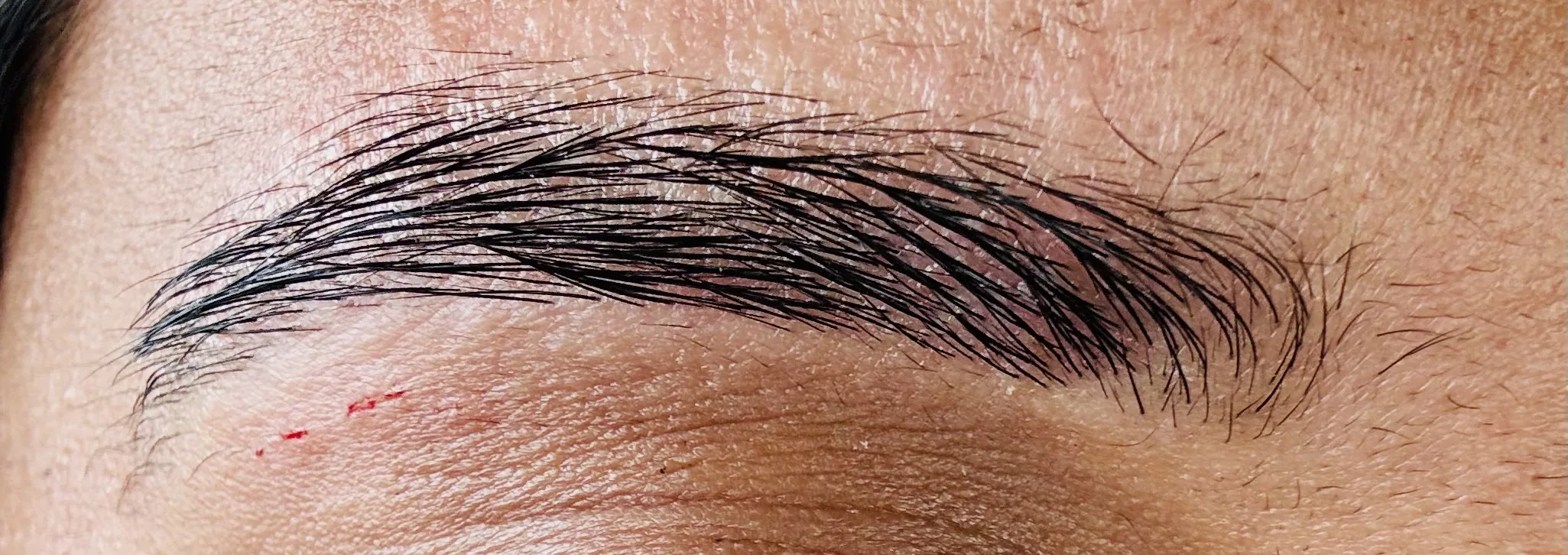A cleanly shaped, defined brow