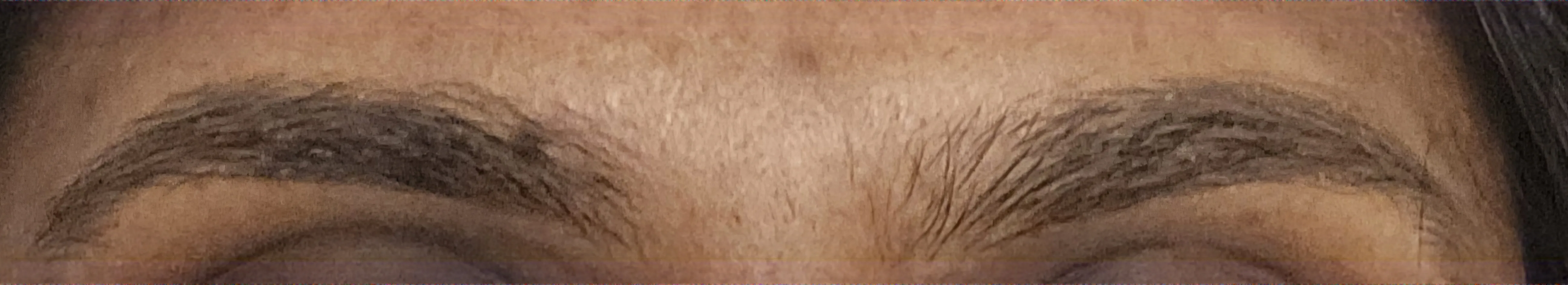 A pair of groomed, tinted brows